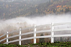White Fence &  Fog photo thumbnail