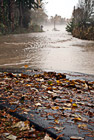 Puyallup River Flooding Over Road photo thumbnail