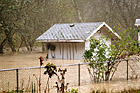 Shed Flooded by River photo thumbnail