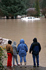 People Watching Car in Flood photo thumbnail