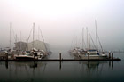 Sailboats in Fog photo thumbnail