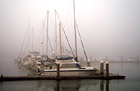 Row of Sailboats in Fog photo thumbnail