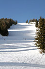 Ski Slope at Big Mountain photo thumbnail