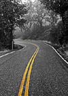 Yellow Stripe on Black & White Road photo thumbnail