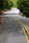 Road Between Green Trees photo thumbnail