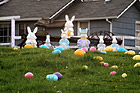 Easter Display in Yard photo thumbnail