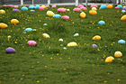 Large Easter Eggs on Grass photo thumbnail