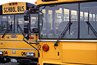 School Buses photo thumbnail