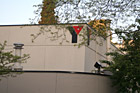 YMCA Building & Trees photo thumbnail