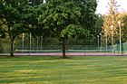 Grass, Trees, and Tennis Court photo thumbnail