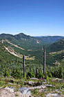 Mountains and New Growth of Gifford Pinchot photo thumbnail