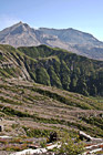 Mt. St. Helens Vertical photo thumbnail