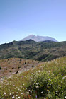 Mt. Saint Helens in Distance photo thumbnail