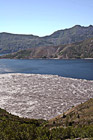 Spirit Lake & Logs photo thumbnail