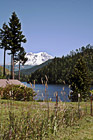 Mt. Rainier in Distance photo thumbnail