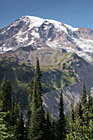 Vertical Mt. Rainier Close Up photo thumbnail