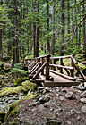 Hike & Wooden Bridge photo thumbnail