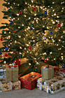 Presents Under Christmas Tree photo thumbnail