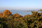 Fall Trees Overlooking Commencement Bay photo thumbnail