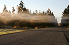 Fog Over Roadway photo thumbnail