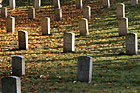 Graves & Autumn Leaves photo thumbnail
