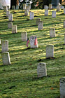 Graves on a Hill photo thumbnail