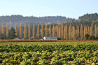 Farm in the Fall photo thumbnail