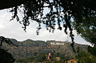 Hollywood Sign in Distance photo thumbnail