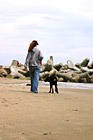 Walking Dog on Beach photo thumbnail