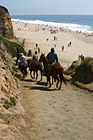 Horses Heading to the Beach photo thumbnail