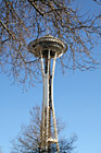 Tree Branches in Front of Space Needle photo thumbnail