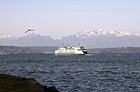 Ferry Boat & Olympics photo thumbnail
