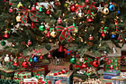 Christmas Presents Under Christmas Tree photo thumbnail