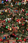 Christmas Tree Close Up photo thumbnail