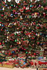 Christmas Tree & Decorations photo thumbnail