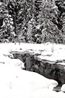 Snow Scene at Longmire, Wa photo thumbnail