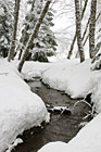 Water Creek Between Snow photo thumbnail