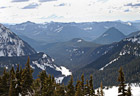 Evergreen Trees & Snowy Hills photo thumbnail