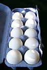 10 Eggs in a Carton photo thumbnail