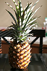 Pineapple photo thumbnail
