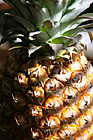 Pineapple Close Up photo thumbnail