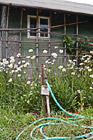 Old Shed & Water Hose photo thumbnail