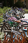 Line of Bikes at College photo thumbnail