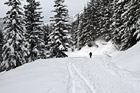 Man Snowshoeing Up Hill photo thumbnail
