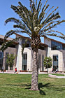 Learning Commons & Library photo thumbnail
