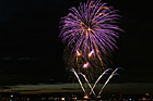 Purple Fireworks photo thumbnail