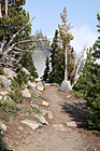 Hiking Trail in Mt. Rainier National Park photo thumbnail