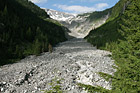 Nisqually Glacier photo thumbnail