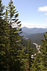 Evergreen Trees & Hills photo thumbnail