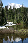 Reflection Lake, Trees, & Mt. Rainier photo thumbnail